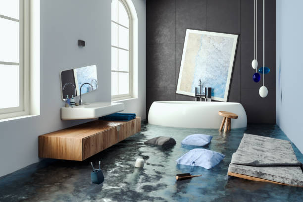 Best Local water damage restoration  in Lansdowne, MD