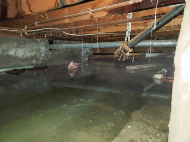 Water damage restoration experts in Lansdowne, MD