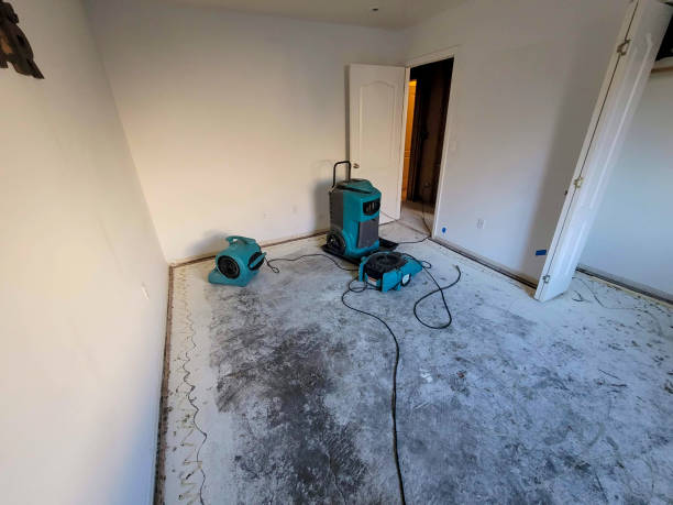 Best Flood damage cleanup  in Lansdowne, MD