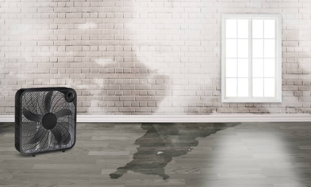 Local water damage restoration in Lansdowne, MD