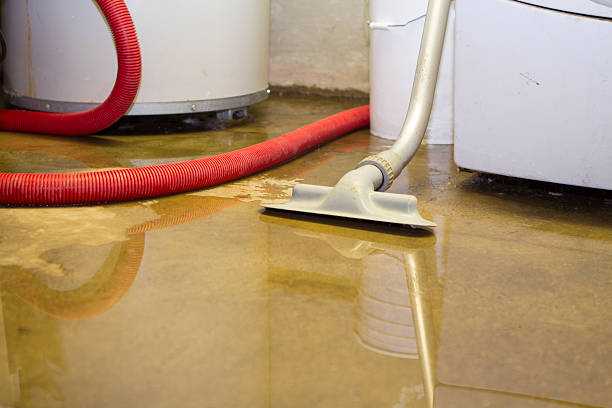 Best Local water damage restoration  in Lansdowne, MD
