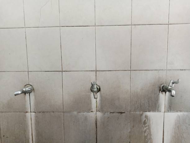 Best Water damage cleanup near me  in Lansdowne, MD