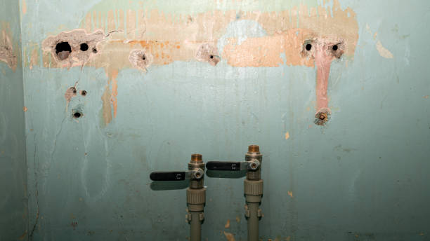 Best Water damage restoration services  in Lansdowne, MD