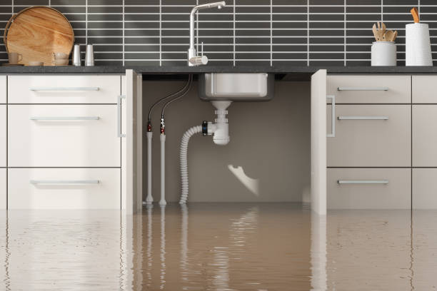 Best Commercial water damage restoration  in Lansdowne, MD