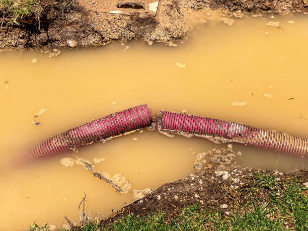 Best Water damage restoration near me  in Lansdowne, MD